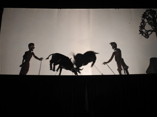 Shadow Puppet Show