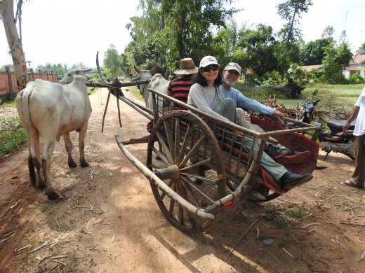 Kampong Trolach.Ox Cart Ride