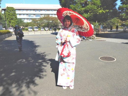 Kimono - Traditional Dress