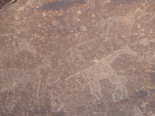 Twyfelfotein Petroglyphs