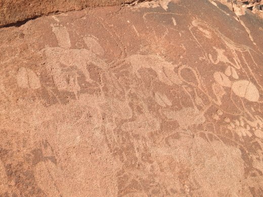 C.8.Damaraland.05.01. (49) Twyfelfotein Petroglyphs