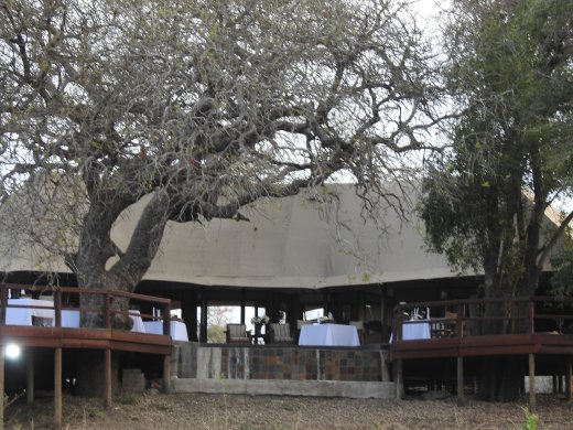 Main Lodge above the Impala Feeding