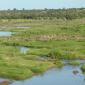 Views from the Olifants Bridge