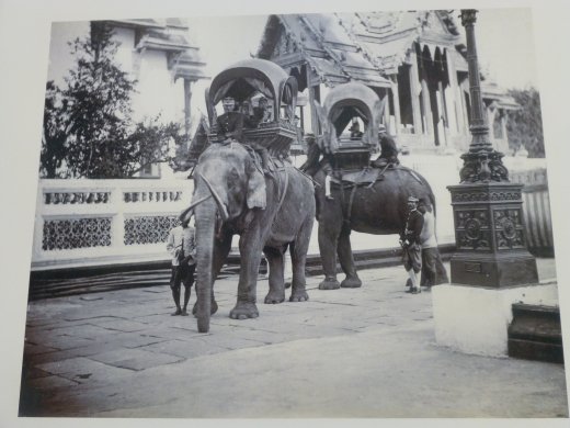 Princes riding Elephants