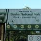 May 3 - Exploring Eastern Etosha National Park