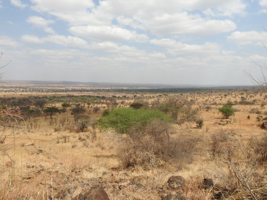 Mpingo Picnic Area