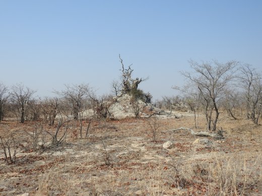 09.26.Termite Mound