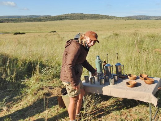 Morning Coffee in Bush