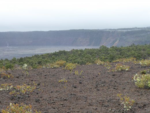 Volcanoes NP.Kilauea Caldera from Devastation Trail