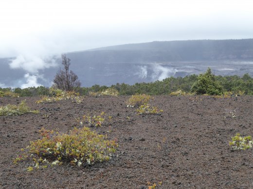 Volcanoes NP.Kilauea Caldera from Devastation Trail